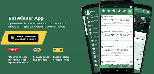 betwinner casino Comprehensive Guide for Players