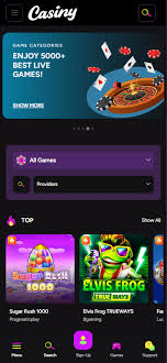 Experience Excitement and Thrill at Casiny Casino